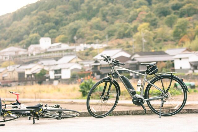 いなちくロングライド 2019年開催の様子